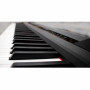 Echord DP1 Pianoforte digitale con 88 tasti Pesati