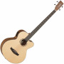 Tanglewood Dtb-ab-bw Basso Acustico Elettrificato Natural Open Pore