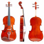 Viola da 40,6 cm Massello "Accademy" Finitura Lucida con Custodia e Accessori